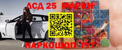 гидропоника Гатчина