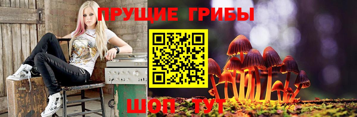 Новоалтайск  Галлюциногенные грибы мицелий  Вход с VPN 